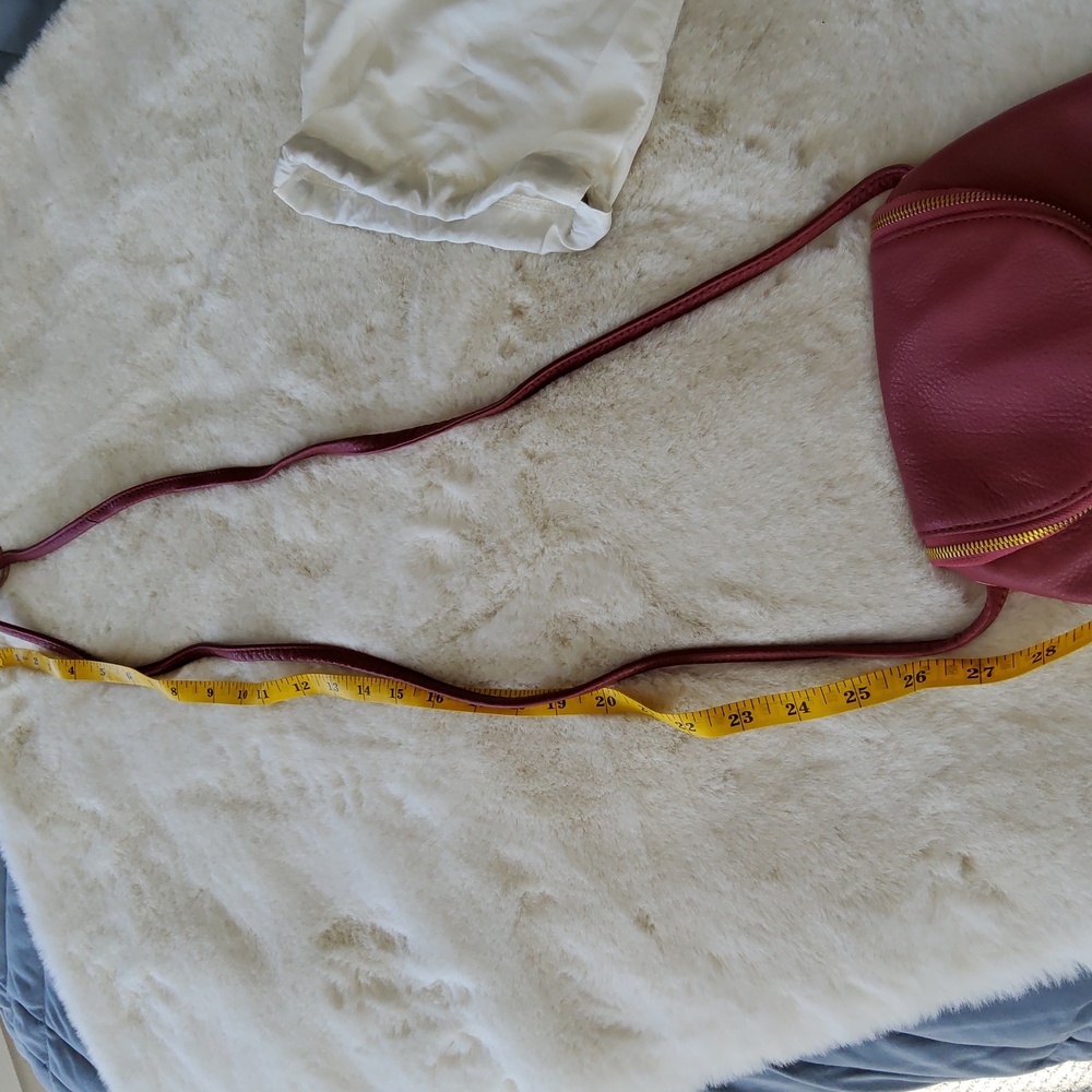 **Pics Updated!*🎉HP 6/19🎉🎉 HOBO Fern Crossbody Bag - Picture 14 of 16